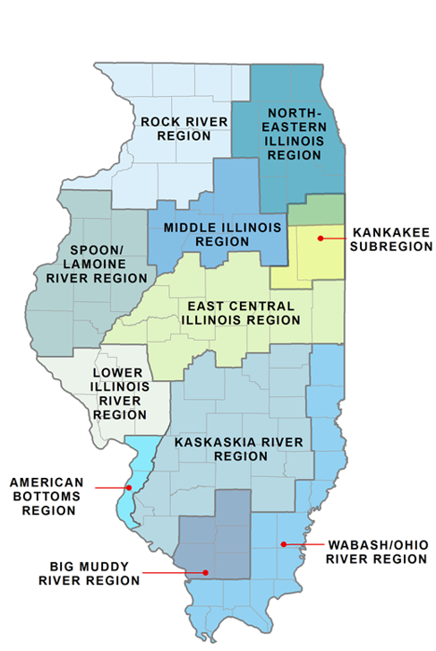 Map of Illinois showing the boundaries of the 11 water supply regions: Rock River, North-Eastern Illinois, Spoon River/Lamoine River, Middle Illinois, Kankakee Subregion, East Central Illinois, Lower Illinois River, Kaskaskia River, Wabash/Ohio River, American Bottoms, and Big Muddy River.